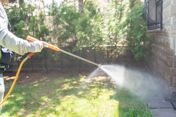 Best Residential Pest Control  in Sur Hill, GA